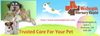 Reliable Animal Hospital In Kitchener Image
